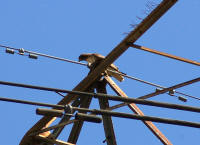 IMGP3805.JPG (618290 bytes)